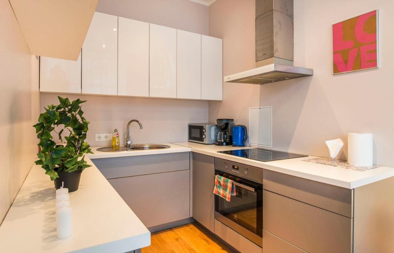 Central 2-Level Penthouse With Terrace And Free Parking Riga Eksteriør bilde